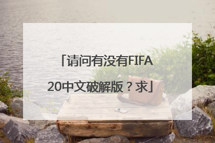 请问有没有FIFA20中文破解版？求