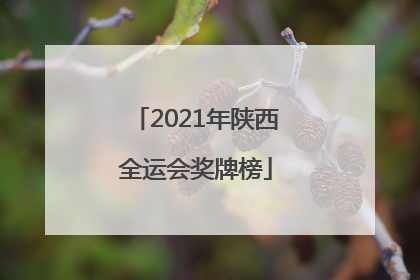 「2021年陕西全运会奖牌榜」2021年陕西全运会奖牌榜广东