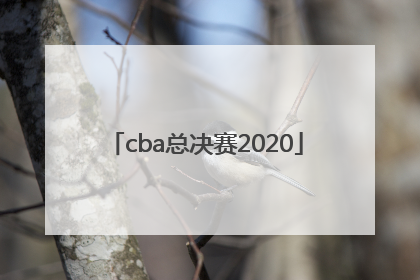 「cba总决赛2020」cba总决赛mvp为什么是赵继伟